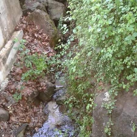 Waldvilla Çıralı